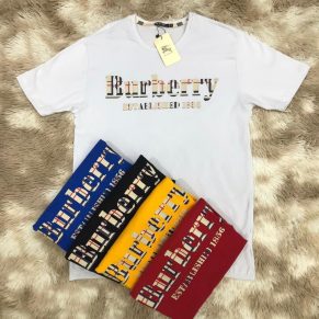 Kit C/6 Camisas Fio 40.1 Atacado